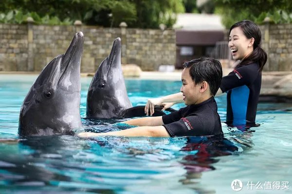 每日一景点 篇一百二十六：新加坡圣淘沙超详细攻略，沙滩、探险、机动游戏一网打尽！交通住宿景点攻略全都有！