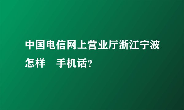 中国电信网上营业厅浙江宁波怎样査手机话？