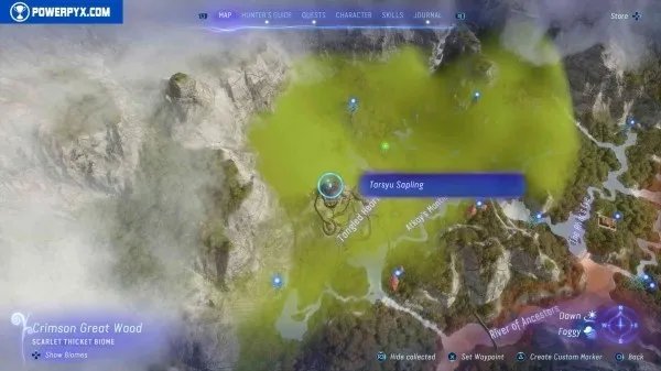 《阿凡达潘多拉边境》塔休幼苗位置汇总 塔休幼苗收集攻略