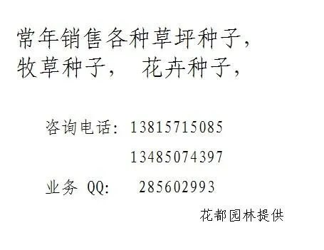 谁能告诉我高羊茅这种绿化种子名字有多少种?叫什么?