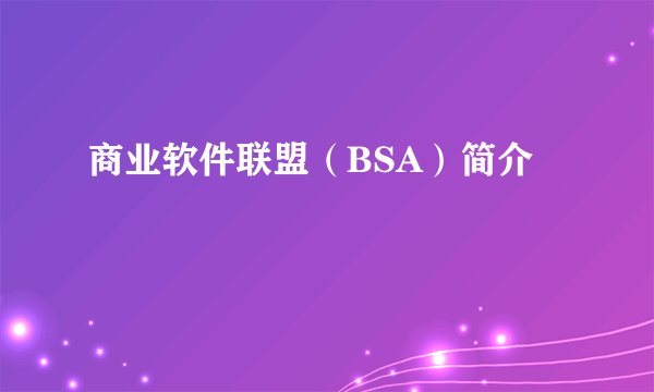 商业软件联盟（BSA）简介