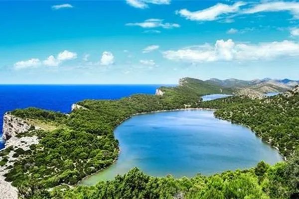 好听又好记的微信账号