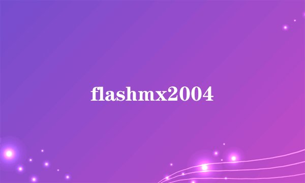 flashmx2004