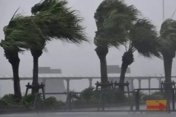 台风“纳沙”已生成,可能会移入南海海面,该如何进行防范呢?