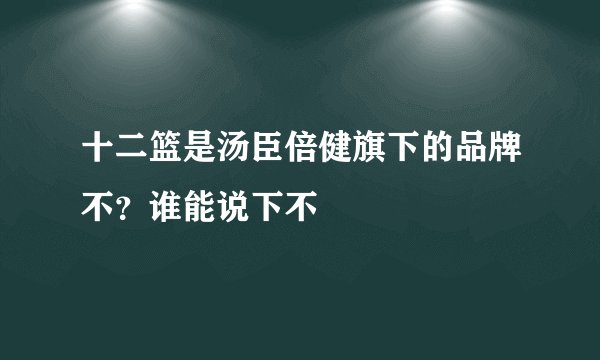 十二篮是汤臣倍健旗下的品牌不？谁能说下不