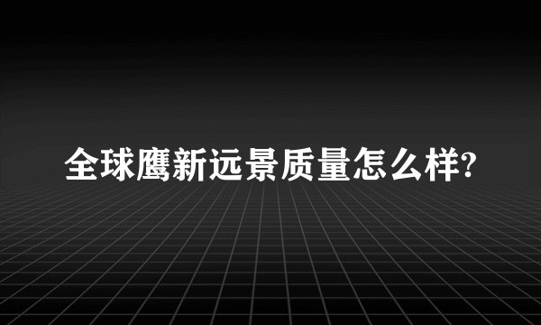 全球鹰新远景质量怎么样?