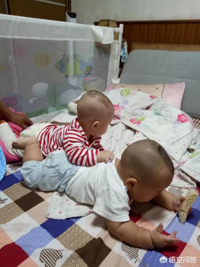 有一个孩子的家庭与两个孩子的家庭有哪些区别?