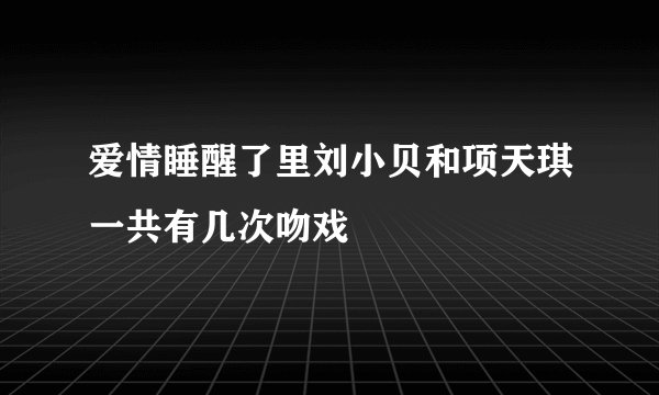 爱情睡醒了里刘小贝和项天琪一共有几次吻戏