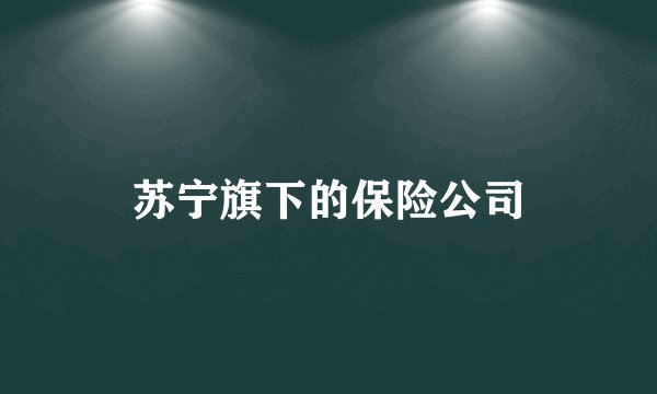 苏宁旗下的保险公司