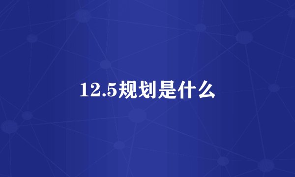 12.5规划是什么
