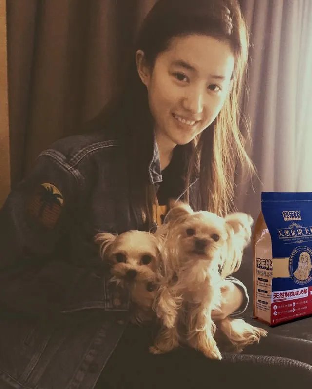 你知道哪些明星，在家养有什么样的宠物呢？