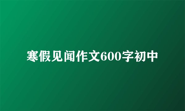 寒假见闻作文600字初中