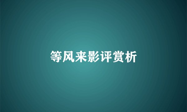 等风来影评赏析