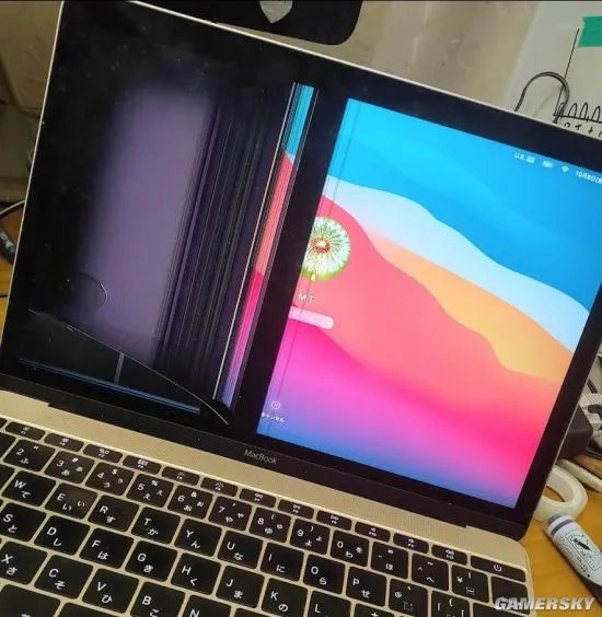 血压上来了 网友晒被熊孩子毁掉的笔记本电脑