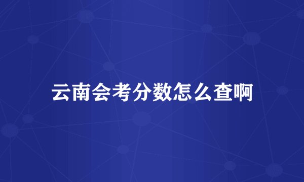 云南会考分数怎么查啊