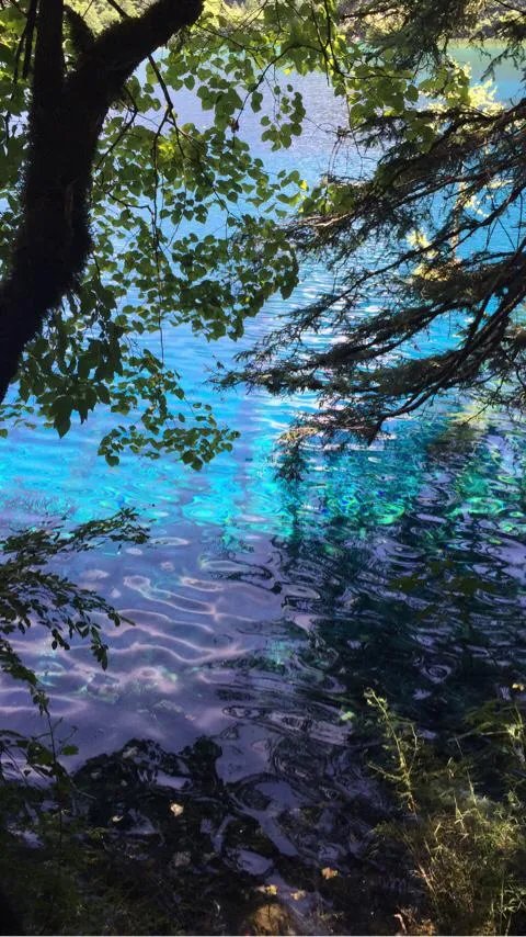 九寨沟地震过后又形成新的景点，你还会去吗？