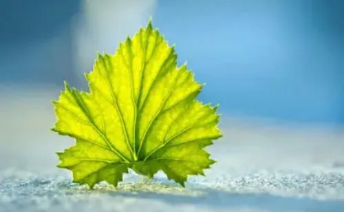 女生说想哭怎么回复 女生想哭什么意思