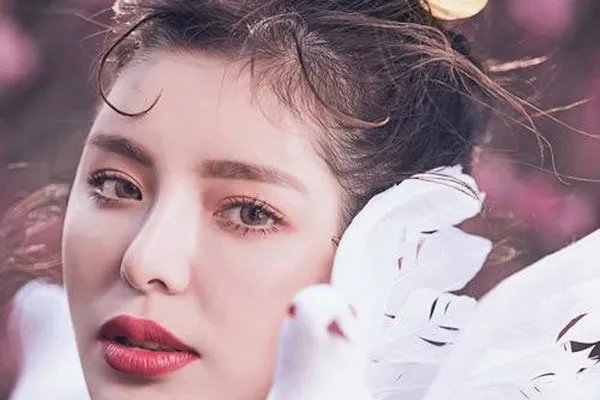 白鸽是离异了吗 出名为了钱离婚还是出轨了