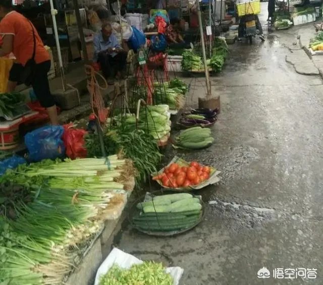 菜价连续8周上涨，近期涨得尤其厉害，你怎么看？