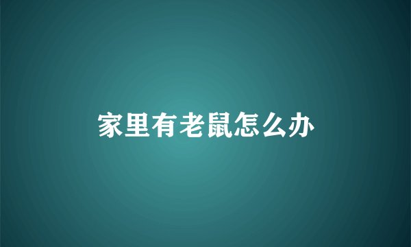 家里有老鼠怎么办