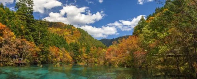 九寨沟位于我国哪个省份