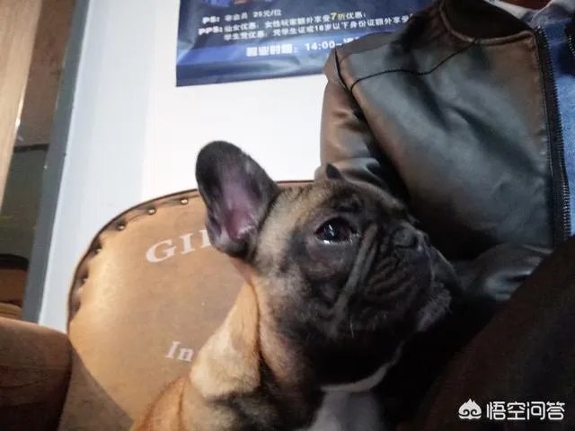 23岁的人对生活很迷茫，毫无方向，该怎么办？