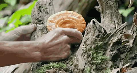 混油皮用面霜还是精华