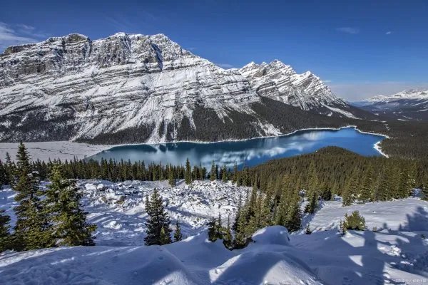 加拿大作为一个移民大国，加拿大联邦自雇移民项目如何呢？