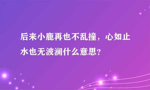 后来小鹿再也不乱撞，心如止水也无波澜什么意思？