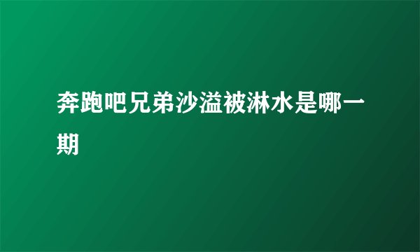奔跑吧兄弟沙溢被淋水是哪一期