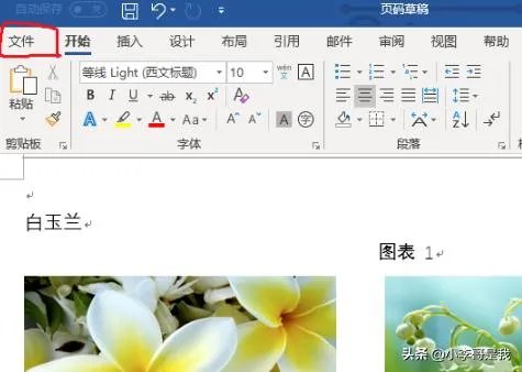WORD2010如何转换成PDF格式？