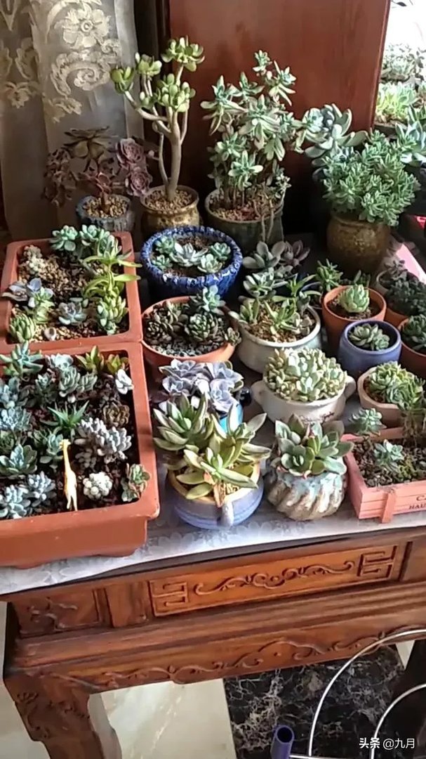 你最拿手的家常菜是什么？您是怎么做的呢？