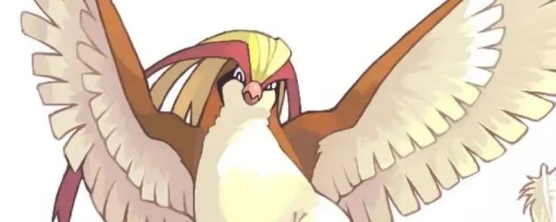 比比鸟几级进化比雕