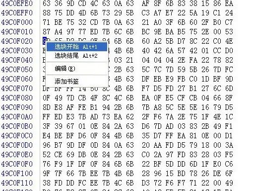 狂派入门: Winhex的使用教程