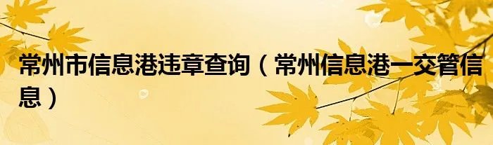 常州市信息港违章查询（常州信息港一交管信息）