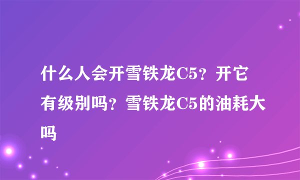 什么人会开雪铁龙C5？开它有级别吗？雪铁龙C5的油耗大吗