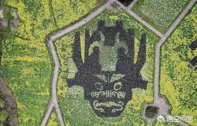 如何看待2019年315晚会曝光电子烟的甲醛危害？对健康有多大的影响？