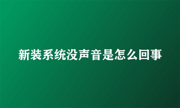新装系统没声音是怎么回事