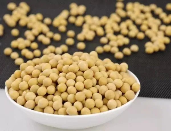 武汉采购360吨黄豆来抗洪，砂石和黄豆哪个抗水性更好？