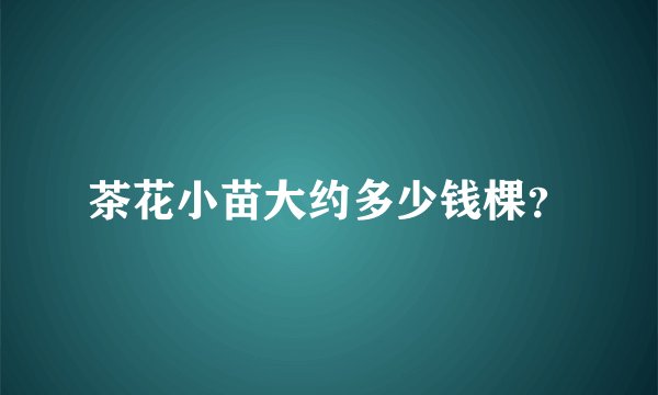 茶花小苗大约多少钱棵？