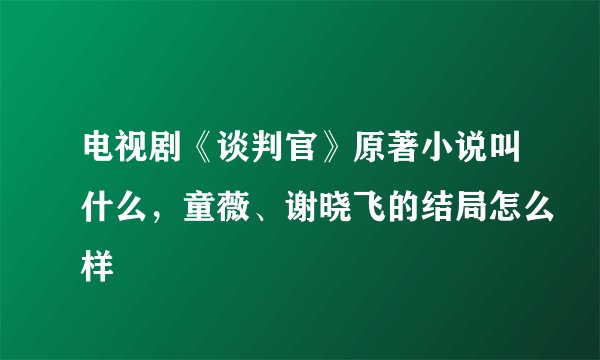 电视剧《谈判官》原著小说叫什么，童薇、谢晓飞的结局怎么样