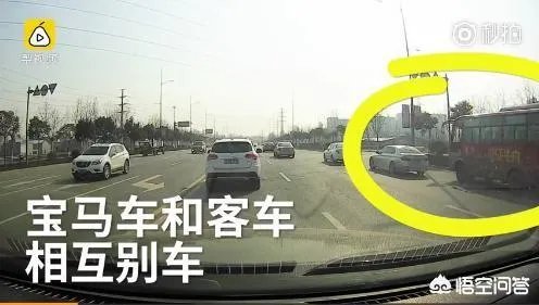 周口宝马大巴斗气互别，双方为了怄气互相别挡，你怎么看？