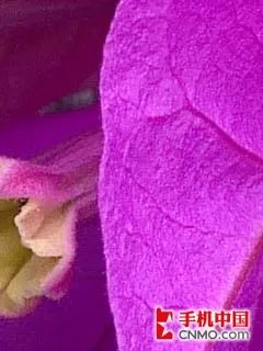 令人惊艳的的500万 诺基亚E72样张解析