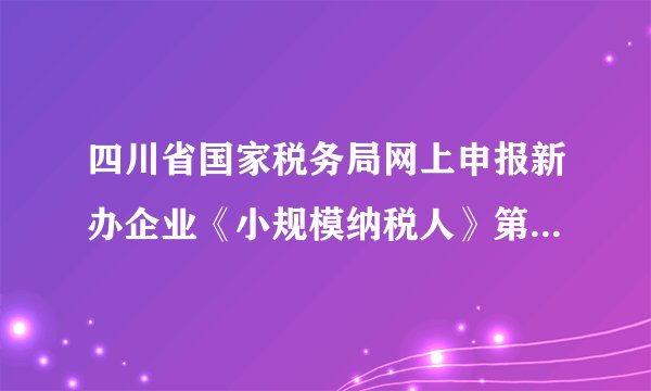四川省国家税务局网上申报新办企业《小规模纳税人》第一次网上报税密码是多少？