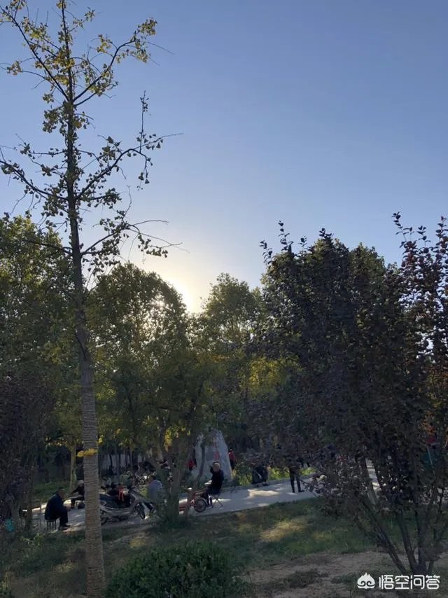 八十多岁的老太太病危，亲人要抢救，但老人叫孩子不要抢救了，你怎么看？