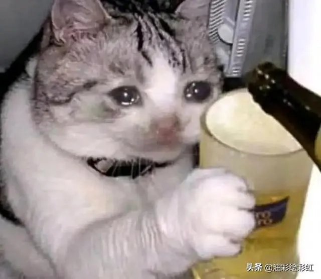 发书法教学视频作者,兴趣选哪个领域好?有何技巧呢?