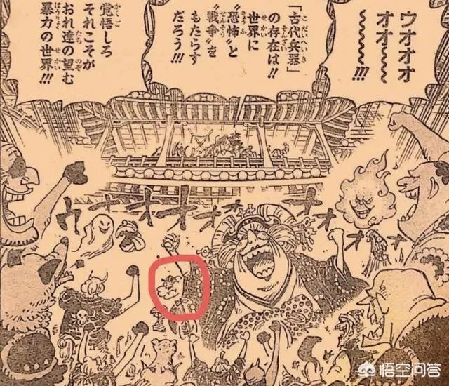 海贼王985话:大蛇到底死了没有?为什么有人说他还活着?