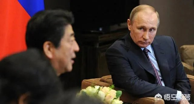 日本发表混乱外交蓝皮书