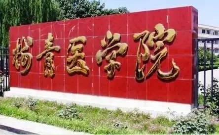 郑州澍青医学院分数线？