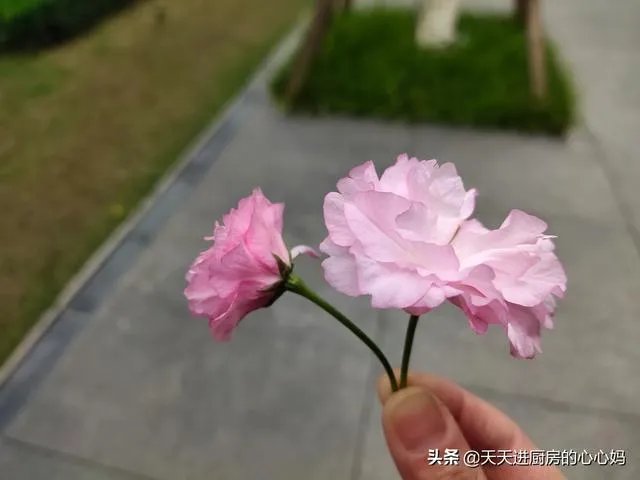 疫情会在四月份彻底结束吗？